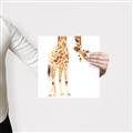 Picture of Bending over Giraffe _GroupedProduct_Square_Canvas_