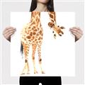 Picture of Bending over Giraffe _GroupedProduct_Square_Canvas_