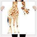 Picture of Bending over Giraffe _GroupedProduct_Square_Canvas_