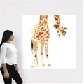 Picture of Bending over Giraffe _GroupedProduct_Square_Canvas_