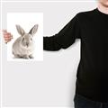 Picture of In Front Bunny _GroupedProduct_Rectangle_Portrait_Canvas_