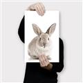 Picture of In Front Bunny _GroupedProduct_Rectangle_Portrait_Canvas_