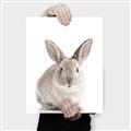 Picture of In Front Bunny _GroupedProduct_Rectangle_Portrait_Canvas_