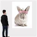 Picture of Floral In Front Bunny _GroupedProduct_Rectangle_Portrait_Canvas_