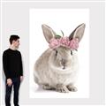 Picture of Floral In Front Bunny _GroupedProduct_Rectangle_Portrait_Canvas_