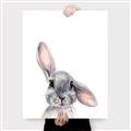 Picture of Floppy Bunny _GroupedProduct_Rectangle_Portrait_Canvas_