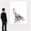 Picture of Floppy Bunny _GroupedProduct_Rectangle_Portrait_Canvas_