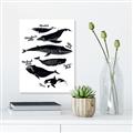 Picture of Ocean Life Black and White _GroupedProduct_Rectangle_Portrait_Canvas_