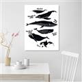 Picture of Ocean Life Black and White _GroupedProduct_Rectangle_Portrait_Canvas_