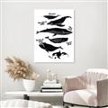 Picture of Ocean Life Black and White _GroupedProduct_Rectangle_Portrait_Canvas_