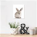 Picture of In Front Bunny _GroupedProduct_Rectangle_Portrait_Canvas_