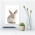 Picture of In Front Bunny _GroupedProduct_Rectangle_Portrait_Canvas_
