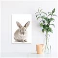 Picture of In Front Bunny _GroupedProduct_Rectangle_Portrait_Canvas_