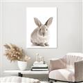 Picture of In Front Bunny _GroupedProduct_Rectangle_Portrait_Canvas_