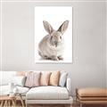 Picture of In Front Bunny _GroupedProduct_Rectangle_Portrait_Canvas_