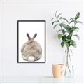 Picture of Behind Bunny _GroupedProduct_Rectangle_Portrait_Canvas_Framed_