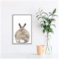 Picture of Behind Bunny _GroupedProduct_Rectangle_Portrait_Canvas_Framed_