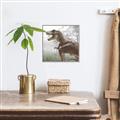 Picture of Trex in the Woods _GroupedProduct_Square_Canvas_Framed_