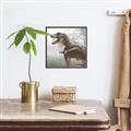 Picture of Trex in the Woods _GroupedProduct_Square_Canvas_Framed_