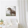 Picture of Trex in the Woods _GroupedProduct_Square_Canvas_Framed_