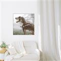 Picture of Trex in the Woods _GroupedProduct_Square_Canvas_Framed_