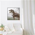 Picture of Trex in the Woods _GroupedProduct_Square_Canvas_Framed_