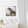 Picture of Trex in the Woods _GroupedProduct_Square_Canvas_Framed_