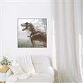 Picture of Trex in the Woods _GroupedProduct_Square_Canvas_Framed_