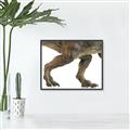 Picture of Stomp Around _GroupedProduct_Rectangle_Landscape_Canvas_Framed_