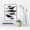 Picture of Ocean Life Black and White _GroupedProduct_Rectangle_Portrait_Canvas_Framed_