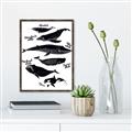 Picture of Ocean Life Black and White _GroupedProduct_Rectangle_Portrait_Canvas_Framed_