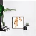 Picture of Bending over Giraffe _GroupedProduct_Square_Canvas_Framed_
