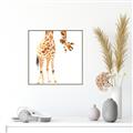 Picture of Bending over Giraffe _GroupedProduct_Square_Canvas_Framed_