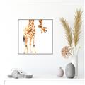 Picture of Bending over Giraffe _GroupedProduct_Square_Canvas_Framed_