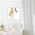 Picture of Bending over Giraffe _GroupedProduct_Square_Canvas_Framed_