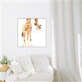 Picture of Bending over Giraffe _GroupedProduct_Square_Canvas_Framed_