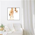 Picture of Bending over Giraffe _GroupedProduct_Square_Canvas_Framed_