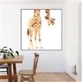 Picture of Bending over Giraffe _GroupedProduct_Square_Canvas_Framed_