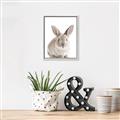 Picture of In Front Bunny _GroupedProduct_Rectangle_Portrait_Canvas_Framed_