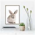 Picture of In Front Bunny _GroupedProduct_Rectangle_Portrait_Canvas_Framed_