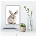 Picture of In Front Bunny _GroupedProduct_Rectangle_Portrait_Canvas_Framed_