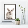 Picture of In Front Bunny _GroupedProduct_Rectangle_Portrait_Canvas_Framed_