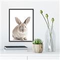 Picture of In Front Bunny _GroupedProduct_Rectangle_Portrait_Canvas_Framed_