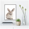 Picture of In Front Bunny _GroupedProduct_Rectangle_Portrait_Canvas_Framed_