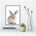 Picture of In Front Bunny _GroupedProduct_Rectangle_Portrait_Canvas_Framed_