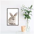 Picture of In Front Bunny _GroupedProduct_Rectangle_Portrait_Canvas_Framed_