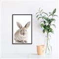Picture of In Front Bunny _GroupedProduct_Rectangle_Portrait_Canvas_Framed_
