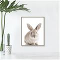 Picture of In Front Bunny _GroupedProduct_Rectangle_Portrait_Canvas_Framed_