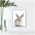 Picture of In Front Bunny _GroupedProduct_Rectangle_Portrait_Canvas_Framed_