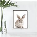 Picture of In Front Bunny _GroupedProduct_Rectangle_Portrait_Canvas_Framed_